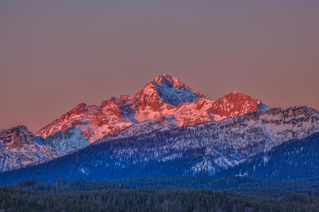 Brunarica Bled Zatrnik Pokljuka Екстер'єр фото