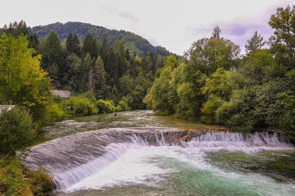 Brunarica Bled Zatrnik Pokljuka Екстер'єр фото